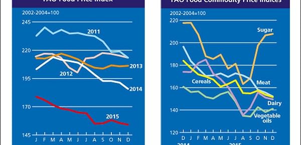 FAO Food Price index down 19% for the year 2015 - after another decline in December