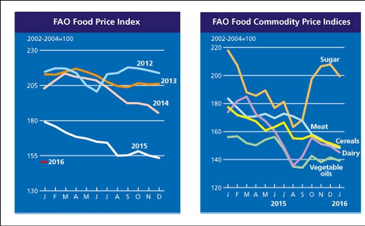 The FAO Food Price Index starts the new year with another decline The FAO Food Price Index starts the new year with another decline