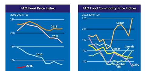 A sharp rise in sugar and palm oil prices push global food prices up, as falling dairy prices are unable to compensate