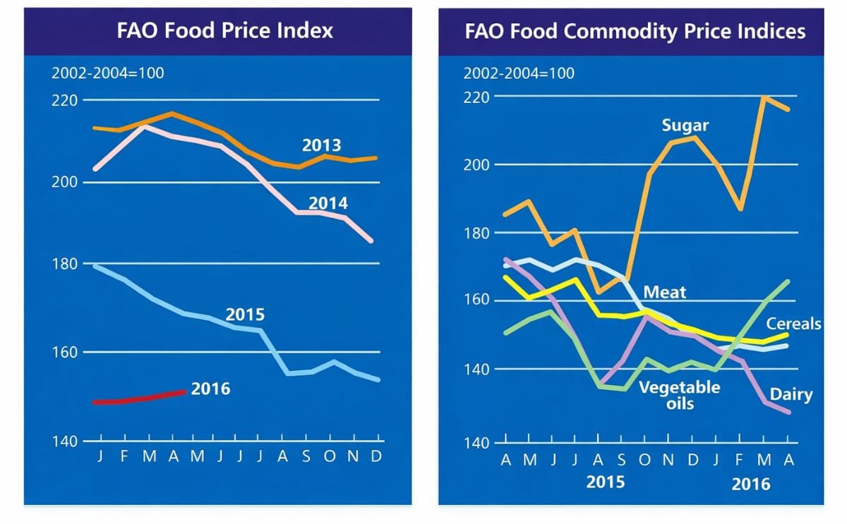 Food prices continue slow upward trend Food prices continue slow upward trend