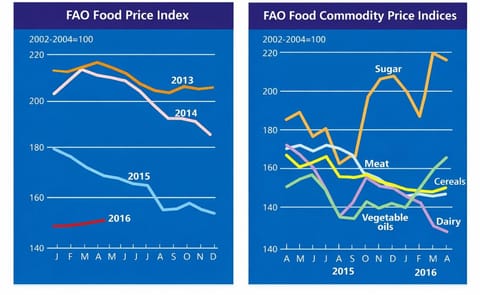 The FAO Food Price Index (FFPI) averaged 151.8 points in April 2016, up 1.1 points (0.7 percent) from March, but almost 10 percent below its April 2015 level. The small increase in April represented a third month of gradual rise in the value of the FFPI. The FAO Food Price Index (FFPI) averaged 151.8 points in April 2016, up 1.1 points (0.7 percent) from March, but almost 10 percent below its April 2015 level. The small increase in April represented a third month of gradual rise in the value of the FFPI.