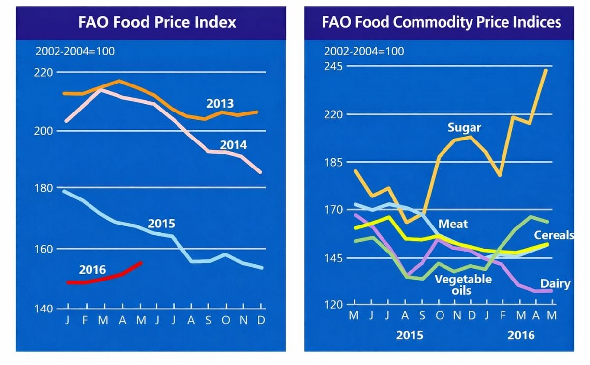FAO Food Price Index continues to firm in May FAO Food Price Index continues to firm in May