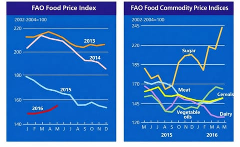FAO Food Price Index continues to firm in May FAO Food Price Index continues to firm in May