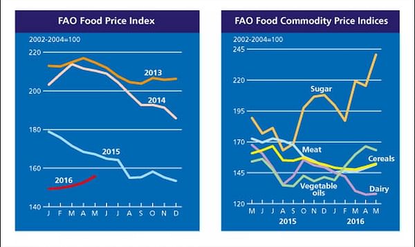 FAO Food Price Index continues to firm in May