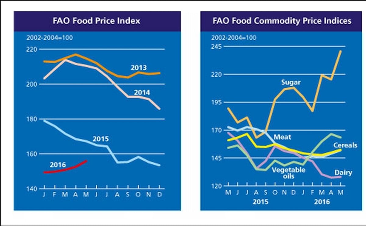 FAO Food Price Index continues to firm in May FAO Food Price Index continues to firm in May