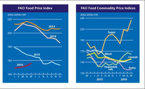 FAO Food Price Index continues to firm in May FAO Food Price Index continues to firm in May