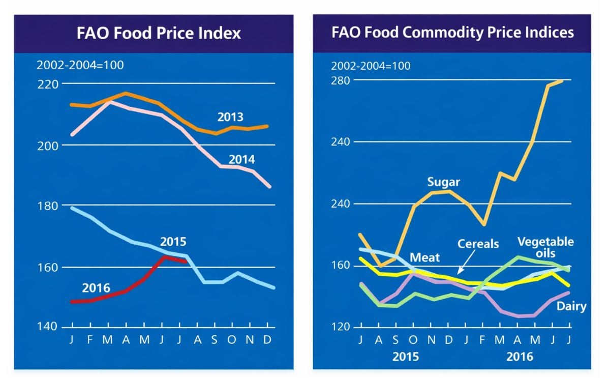 The FAO Food Price Index went down in July The FAO Food Price Index went down in July