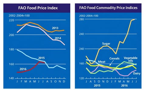 The FAO Food Price Index (FFPI) - an indicator of global food prices - averaged 161.9 points in July 2016, 1.3 points (0.8 percent) below June and 1.4 percent below the corresponding month last year. The FAO Food Price Index (FFPI) - an indicator of global food prices - averaged 161.9 points in July 2016, 1.3 points (0.8 percent) below June and 1.4 percent below the corresponding month last year.