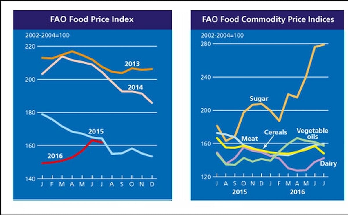 The FAO Food Price Index went down in July The FAO Food Price Index went down in July