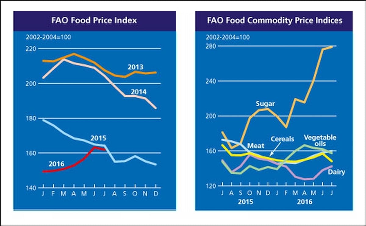 The FAO Food Price Index (FFPI) - an indicator of global food prices - averaged 161.9 points in July 2016, 1.3 points (0.8 percent) below June and 1.4 percent below the corresponding month last year.