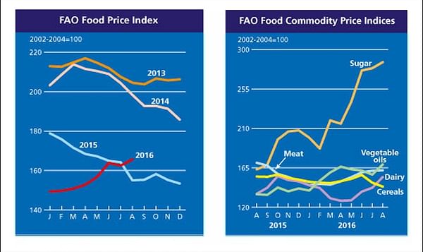 The FAO Food Price Index hits a 15-month high in August