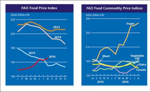 The FAO Food Price Index hits a 15-month high in August The FAO Food Price Index hits a 15-month high in August