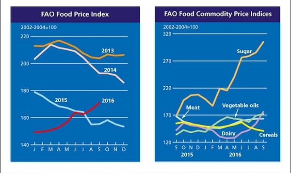 Global Food Prices continue to go up in September