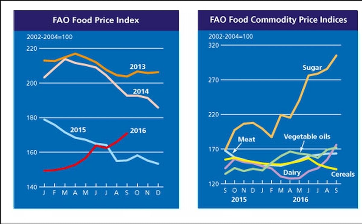 In September 2016, the FAO Food Price Index (FFPI) averaged 170.9 points, up almost 5 points (2.9 percent) from August and 10 percent above the corresponding month last year.The September value is the highest since March 2015.
