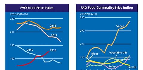 Global Food Prices continue to go up in September