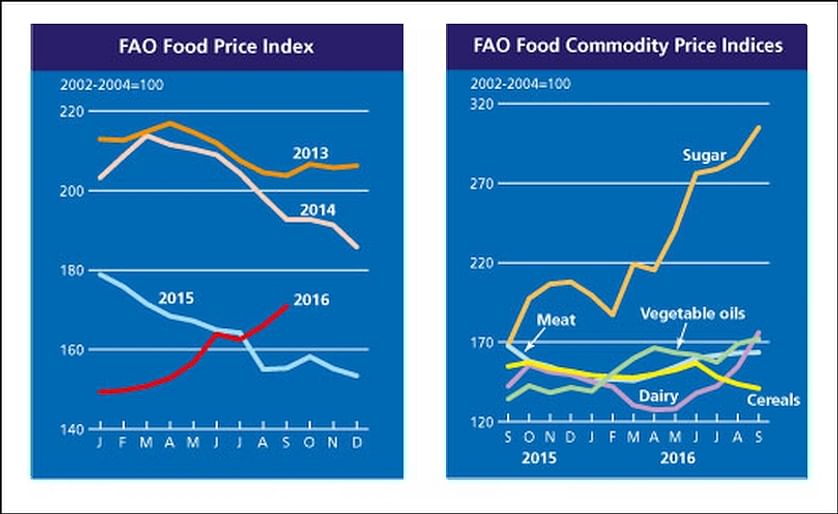 In September 2016, the FAO Food Price Index (FFPI) averaged 170.9 points, up almost 5 points (2.9 percent) from August and 10 percent above the corresponding month last year.The September value is the highest since March 2015.