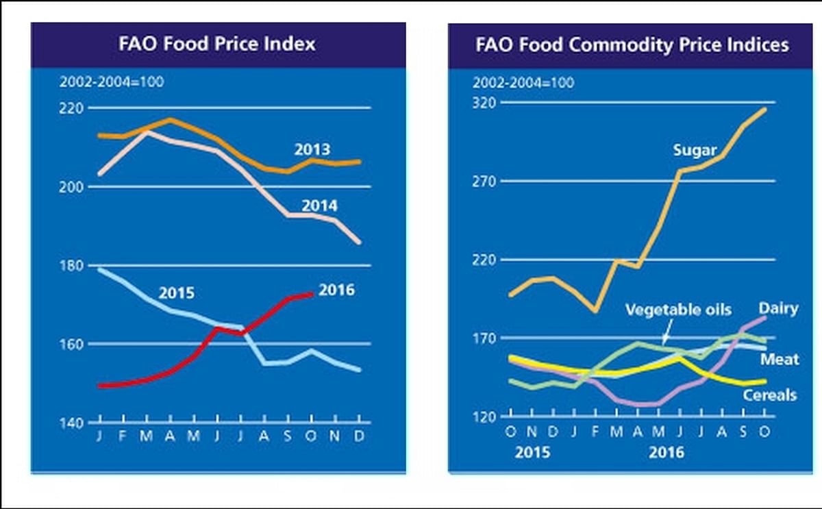In October 2016, the FAO Food Price Index averaged 172.6 points in October 2016, up 1.2 points (0.7 percent) from September and 9.1 percent above the corresponding month last year. Except for a short-lived drop in July, the Index has risen continuously si