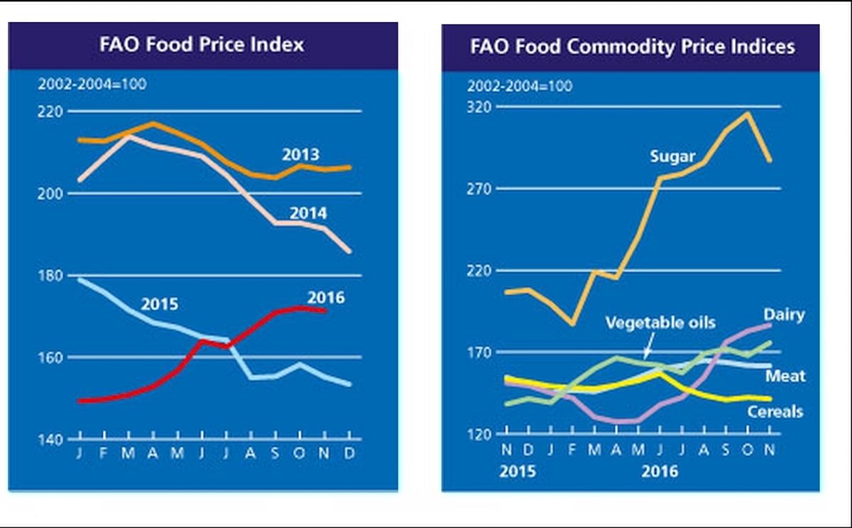 The month-to-month small decline in November marked a departure from an almost uninterrupted rising trend in the food price Index since the start of 2016. 