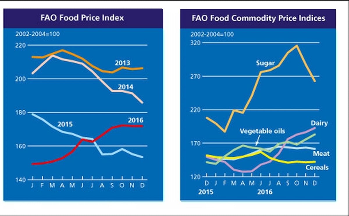 The FAO Food Price Index (FFPI) averaged almost 172 points in December 2016, unchanged from November with strong gains in the prices of vegetable oils and dairy largely offsetting a fall in sugar and meat quotations.