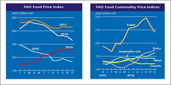 The FAO Food Price Index fell for the fifth consecutive year in 2016