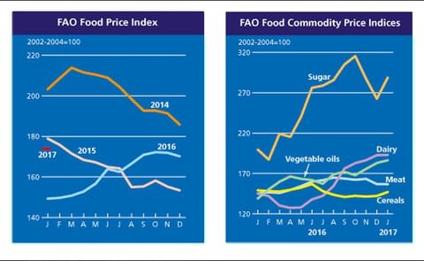 The FAO Food Price Index (FFPI) in January 2017 averaged 173.8 points, up 3.7 points (2.1 percent) from the revised December value. At this level, the FFPI is at its highest value since February 2015. The FAO Food Price Index (FFPI) in January 2017 averaged 173.8 points, up 3.7 points (2.1 percent) from the revised December value. At this level, the FFPI is at its highest value since February 2015.