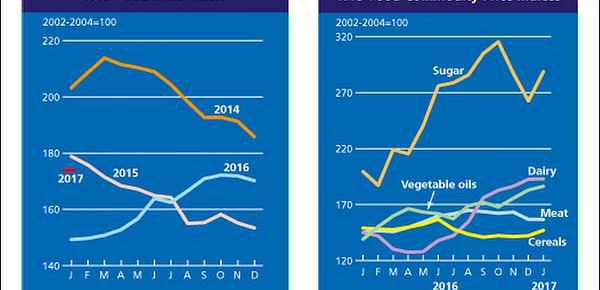 January 2017 FAO Food Price Index at its highest value since February 2015