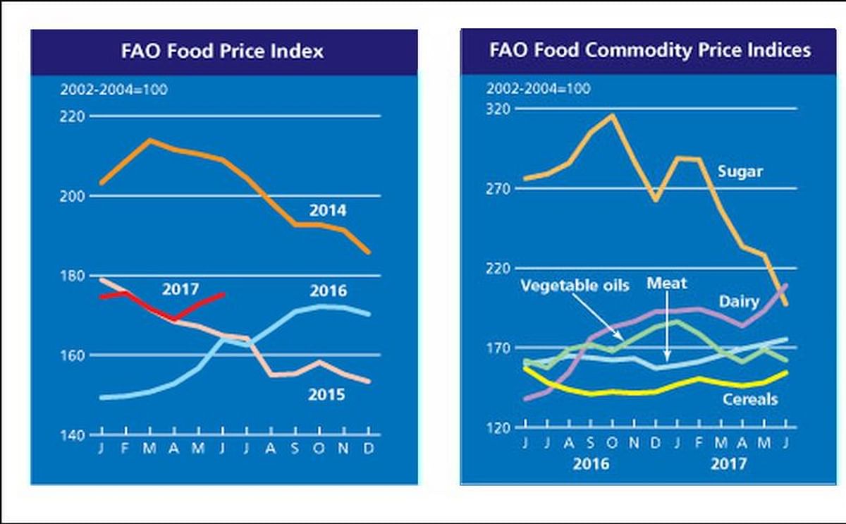 The FAO Food Price Index (FFPI) averaged 175.2 points in June 2017, up 2.5 points (1.4 percent) from May and 11 points (7 percent) above its level a year earlier.