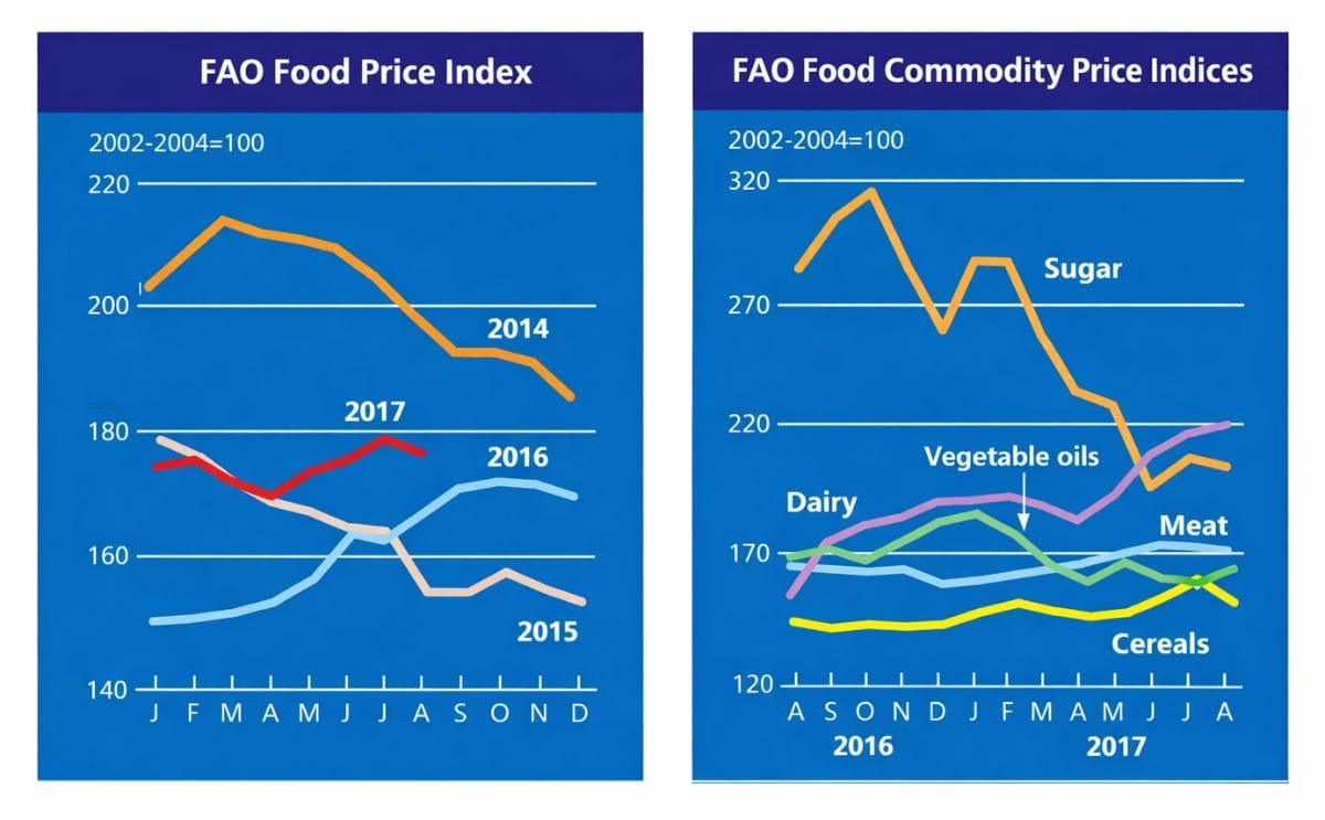 The FAO Food Price Index (FFPI) averaged 176.6 points in August 2017, down 2.3 points (1.3 percent) from July, but still 10 points (6 percent) above its value a year earlier.