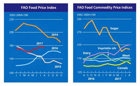 The FAO Food Price Index (FFPI) averaged 176.6 points in August 2017, down 2.3 points (1.3 percent) from July, but still 10 points (6 percent) above its value a year earlier. The FAO Food Price Index (FFPI) averaged 176.6 points in August 2017, down 2.3 points (1.3 percent) from July, but still 10 points (6 percent) above its value a year earlier.