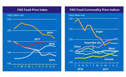 The FAO Food Price Index (FFPI) averaged 178.4 points in September 2017, up 1.4 points (0.8 percent) from August and 7.4 points (4.3 percent) above September 2016. The FAO Food Price Index (FFPI) averaged 178.4 points in September 2017, up 1.4 points (0.8 percent) from August and 7.4 points (4.3 percent) above September 2016.