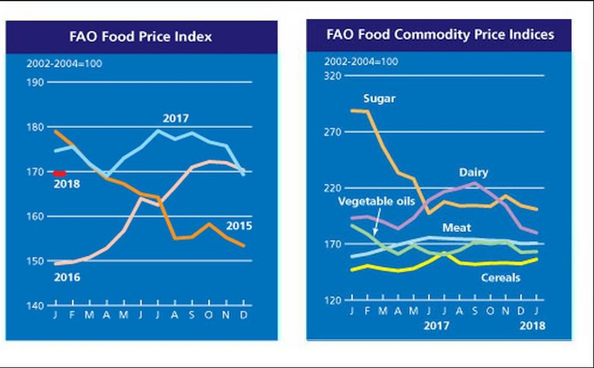 The FAO Food Price Index averaged 169.5 points in January 2018, nearly unchanged from December 2017
