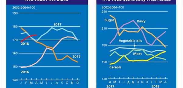 FAO Food Price Index steady