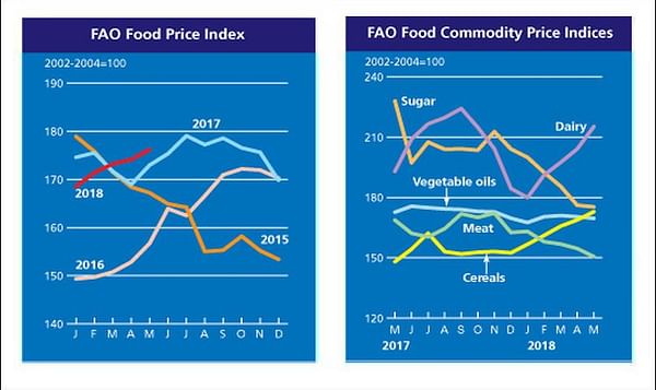The FAO Food Price Index rose further in May