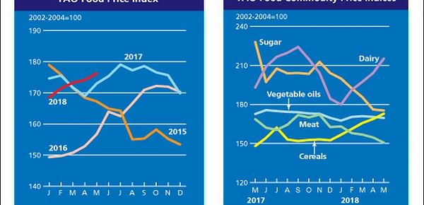 The FAO Food Price Index rose further in May