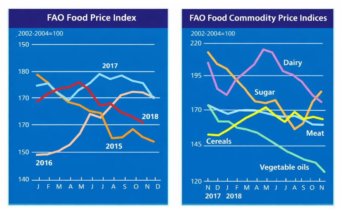 FAO food Price index sees further decline in November FAO food Price index sees further decline in November