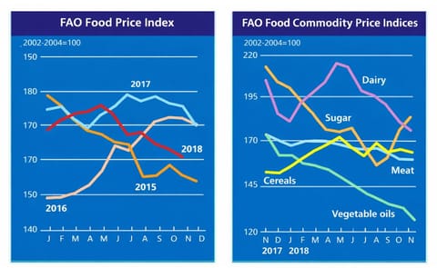 FAO food Price index sees further decline in November FAO food Price index sees further decline in November