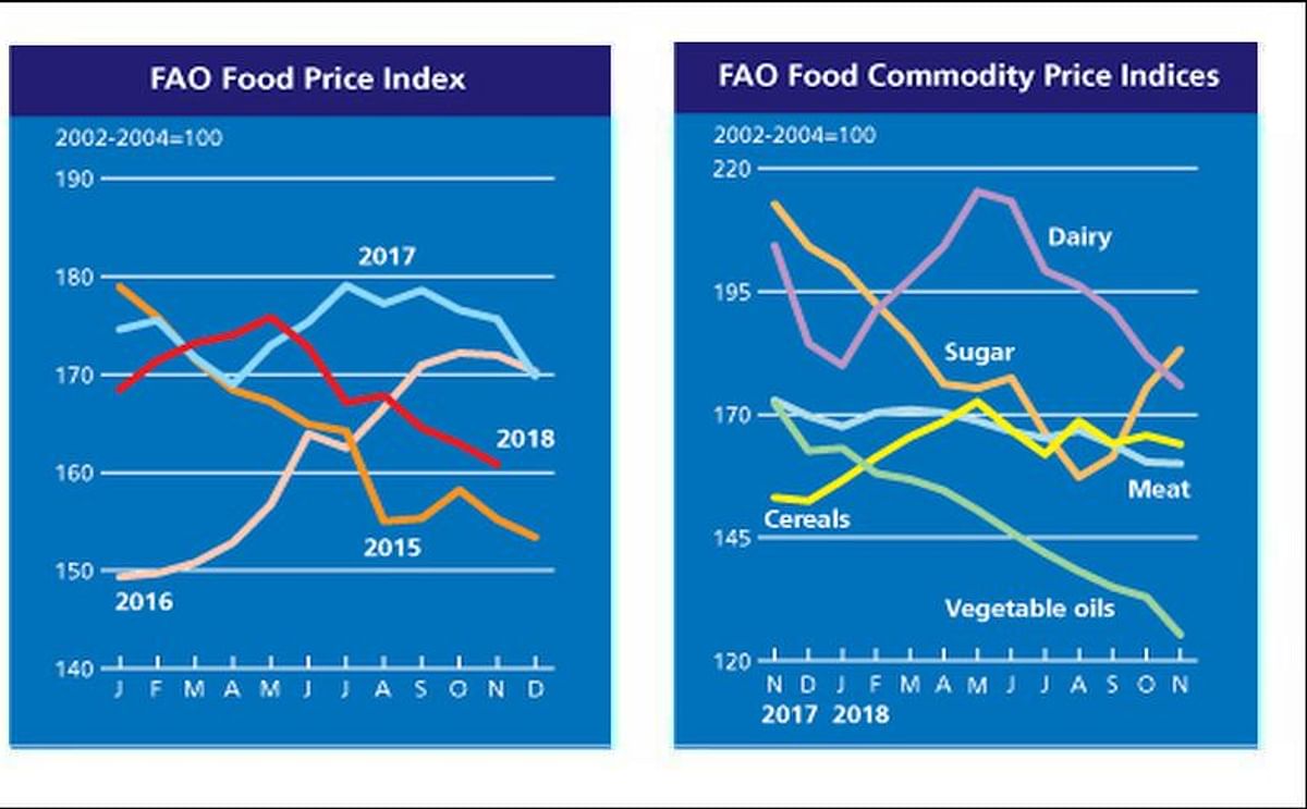 FAO food Price index sees further decline in November