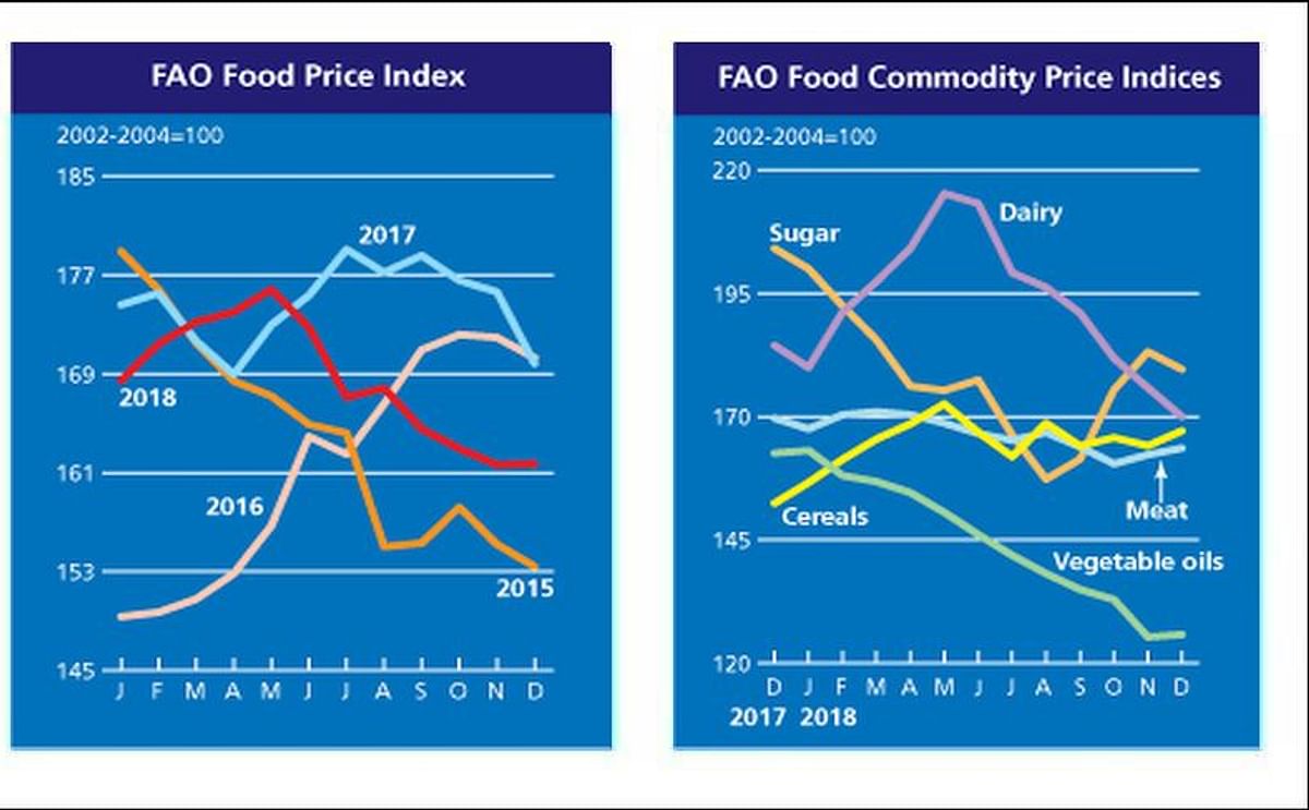 The FAO Food Price Index (FFPI) averaged 161.7 points in December 2018, nearly unchanged from its November value as lower dairy and sugar quotations were largely offset by firmer cereal prices and somewhat higher prices of meat and oils.