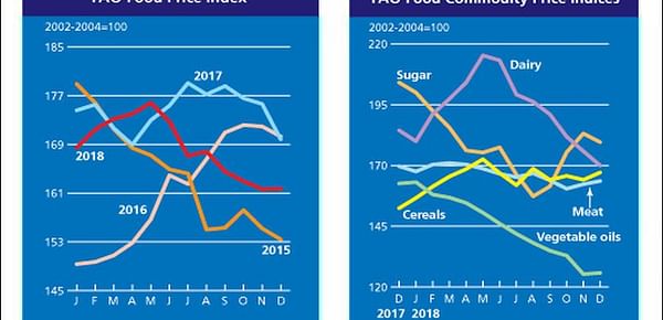 FAO Food Price Index (FFPI) nearly unchanged in December 2018