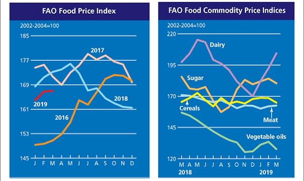 FAO Food Price Index steady in March