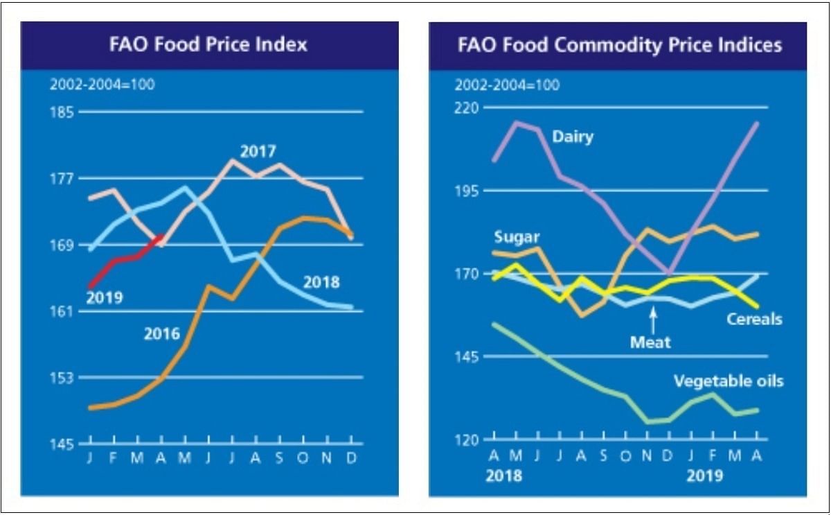 The FAO Food Price Index (FFPI) rose in April 2019 to around 170 points, 1.5 percent (2.5 points) higher than in March and marking its highest value since June 2018.