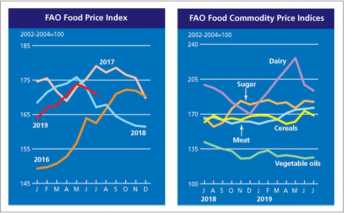 The FAO Food Price Index averaged 170.9 points in July 2019, down 1.1 percent (1.8 points) from June but 2.3 percent higher than in July 2018.