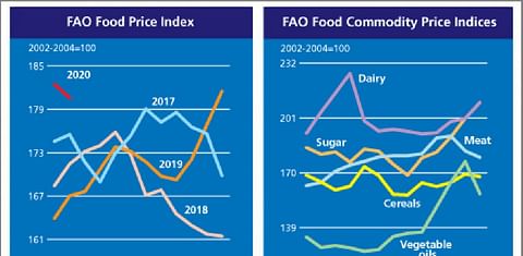 FAO Food Price Index declined in February