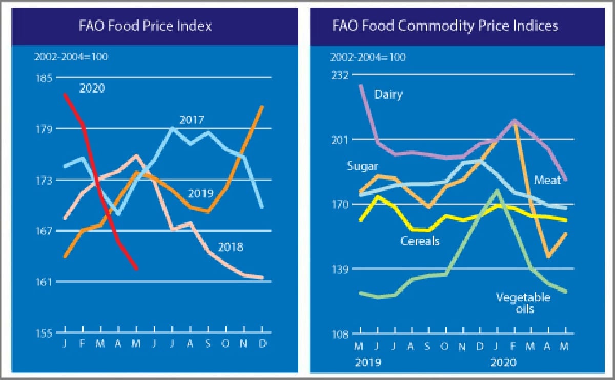 The FAO Food Price Index drops to a seventeen-month low The FAO Food Price Index drops to a seventeen-month low