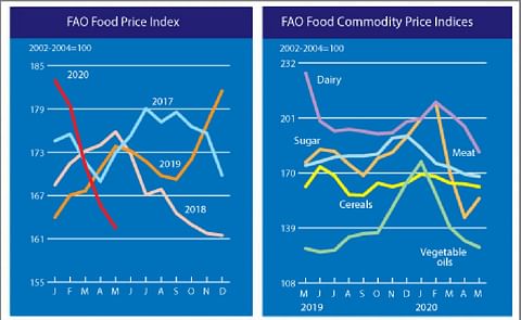 The FAO Food Price Index drops to a seventeen-month low
The FAO Food Price Index drops to a seventeen-month low