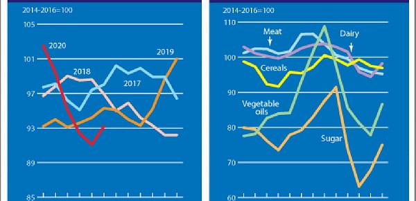 The FAO Food Price Index rebounds in June