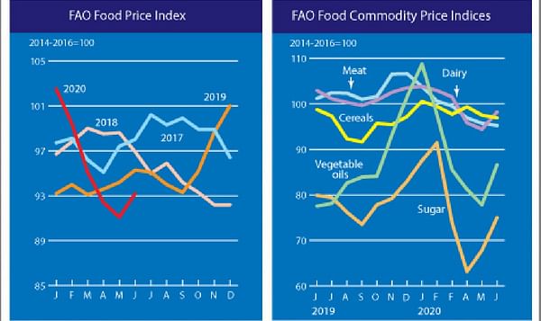 The FAO Food Price Index rebounds in June