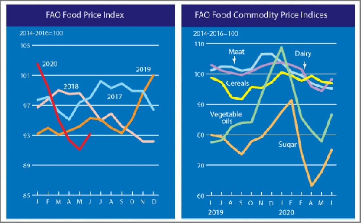 The FAO Food Price Index rebounds in June The FAO Food Price Index rebounds in June