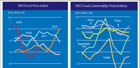 The FAO Food Price Index firmer for the second consecutive month in a row