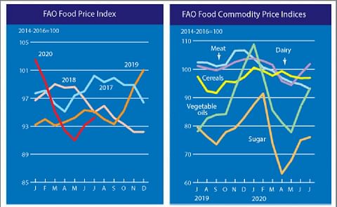 The FAO Food Price Index firmer for the second consecutive month in a row
The FAO Food Price Index firmer for the second consecutive month in a row